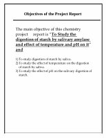 Page 9: Chemistry project for Class 12